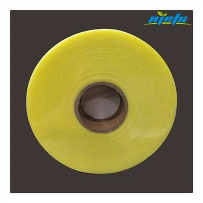 טאפה פיברגלס